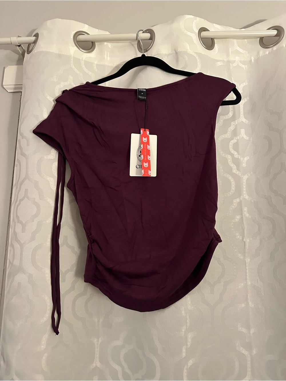 Cider One-Shoulder Ruched Side Camisole in Plum